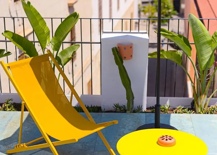 Glamorous Pink In Center *